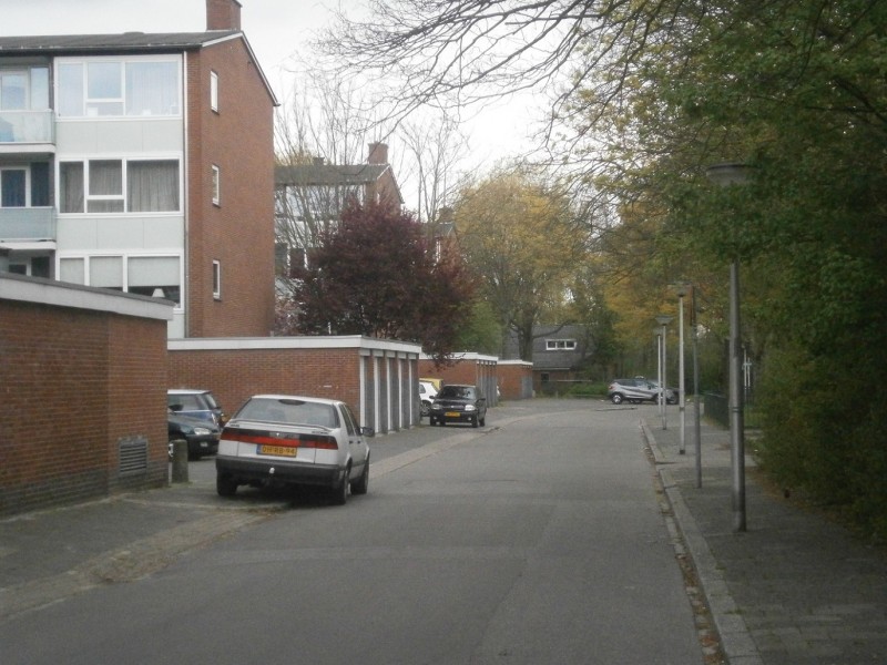 Paulus Moreelsestraat.JPG