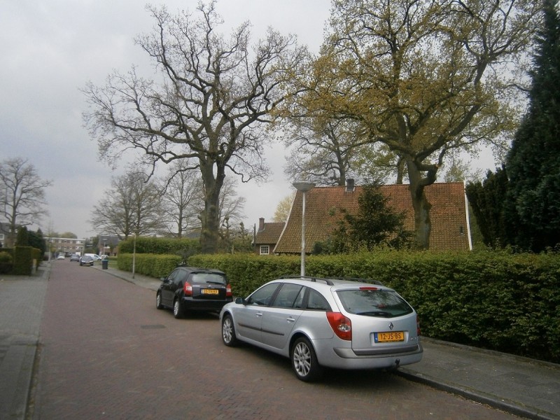 Otto van Taverenstraat richting Roelof van Schevenstraat.JPG