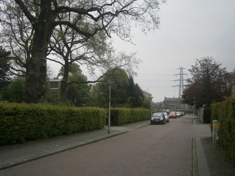 Otto van Taverenstraat.JPG