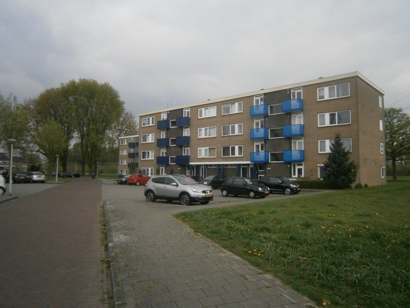 Roelof van Schevenstraat.JPG
