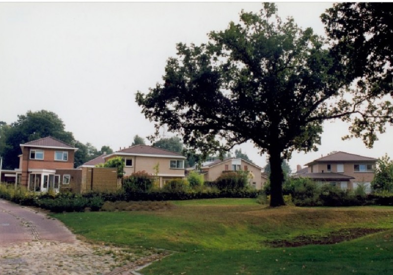 Ommerbos juli 1999. Achterzijde van de woningen in de wijk Ruwenbos. Met de bekende Wadi's..jpg