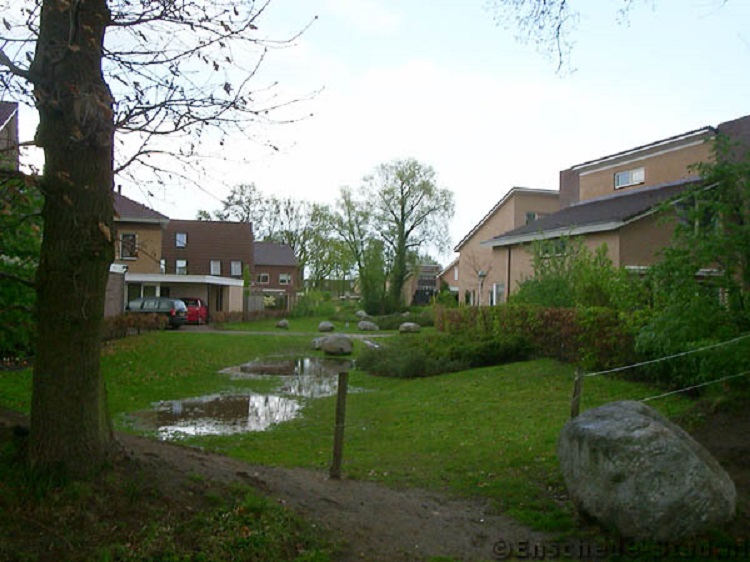 Nijmansbos - Wadi (2).jpg