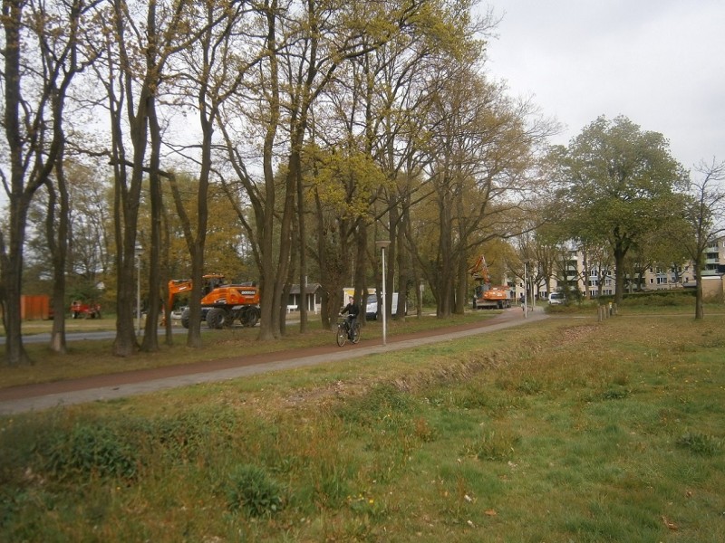 Ferdinand Bolstraat aanleg fietsstraat 2-5-2017 (2).JPG