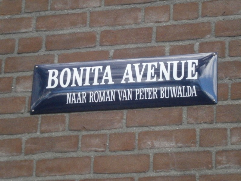 Bonita Avenue straatnaambord (2).JPG