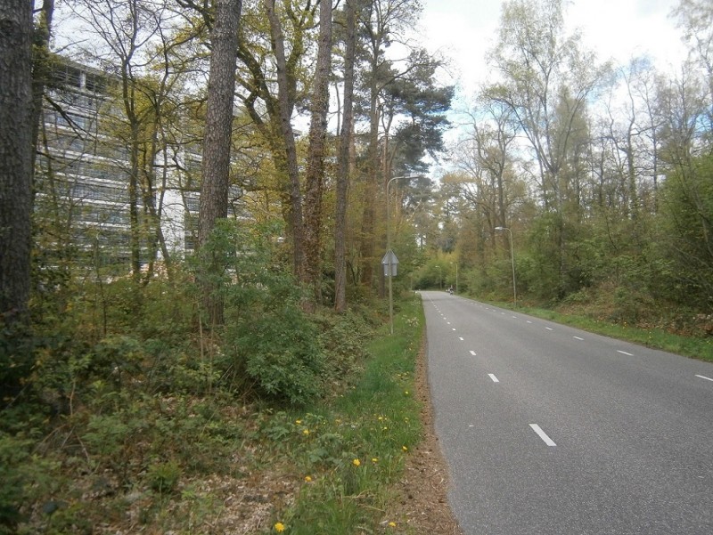 Langenkampweg vanaf Horstlindelaan.JPG