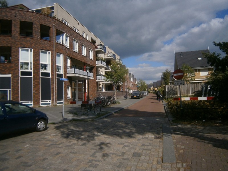 Begoniastraat vanaf Minkmaatstraat.JPG