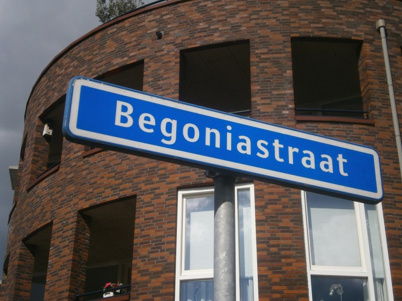 Begoniastraat straatnaambord.JPG
