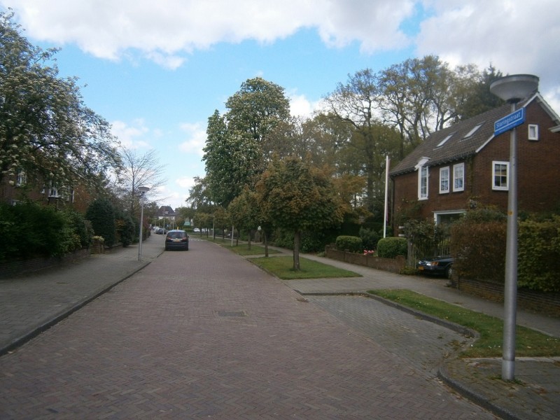 Staringstraat vanaf Van Alphenstraat.JPG