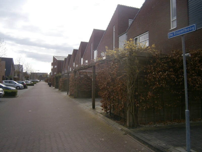 De Triomfboog.JPG