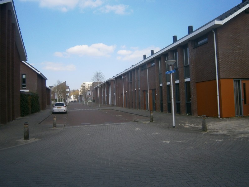 De Groene Boog vanaf Janninksweg.JPG
