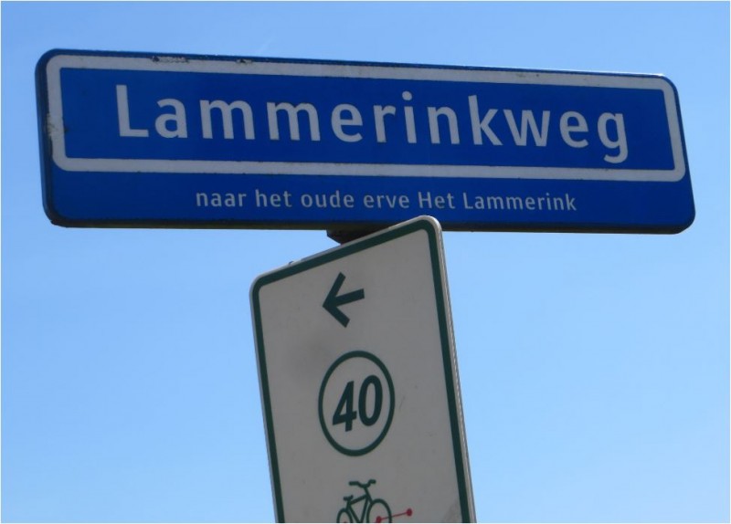 2017 05 25 (14 Lammerinkweg) (2).JPG