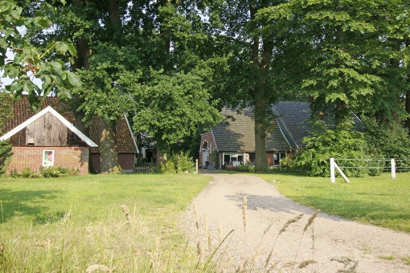 Helweg 75.jpg