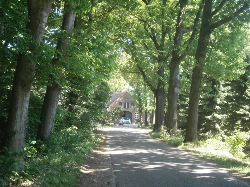 Helmerstraat vanaf Schaddendijk.JPG