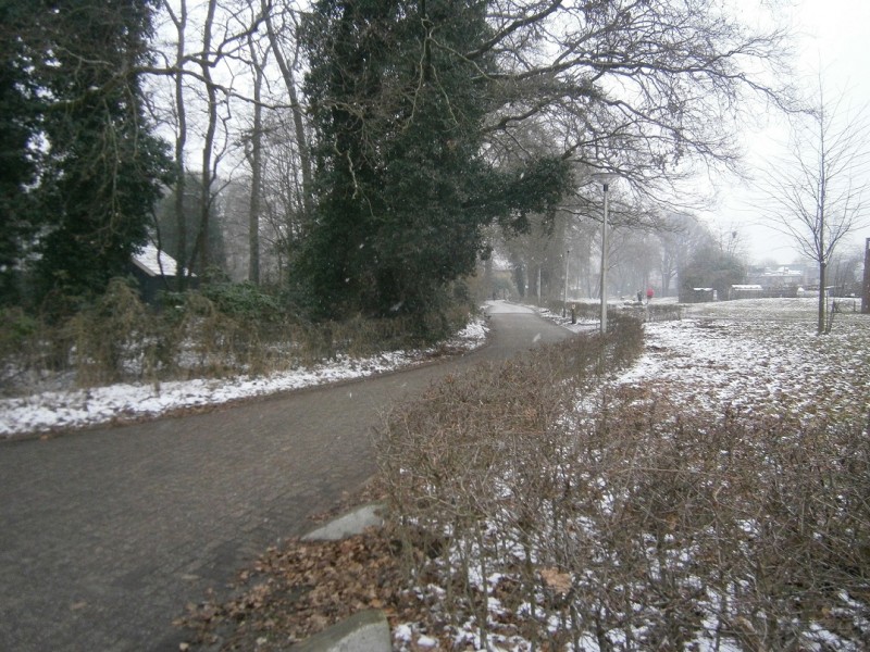 Zweringhoekweg vanaf Ferdinand Bolstraat.JPG