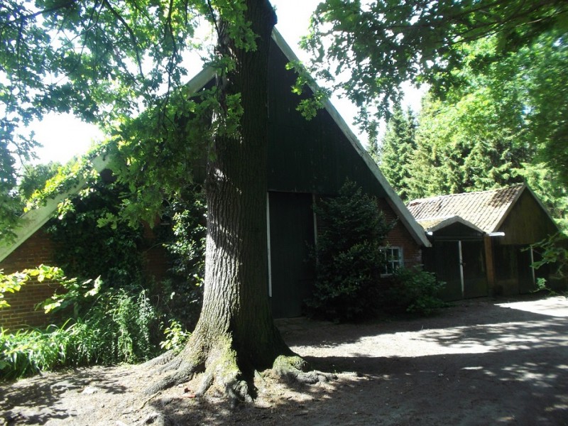 Zweringhoekweg 80 (4).JPG