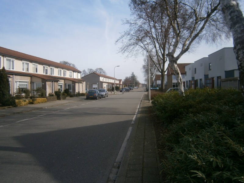 Elferinksweg vanaf Gerard Terborghstraat.JPG