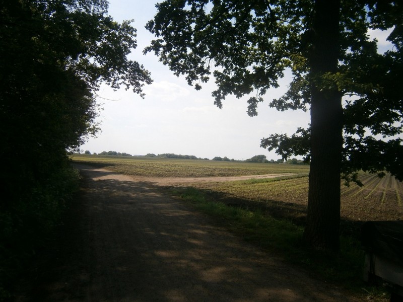 Willemsbeekweg vanaf Usselerschoolweg.JPG