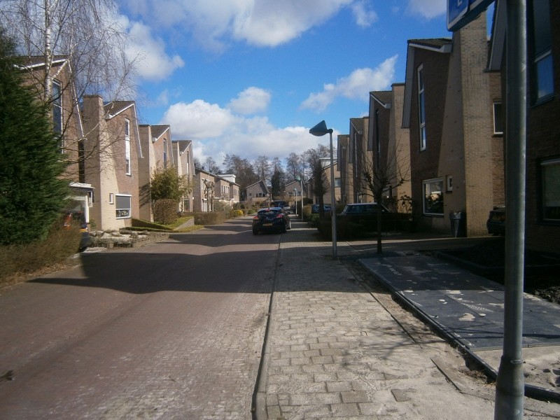 Elbertbos vanaf Dikkersbos.JPG