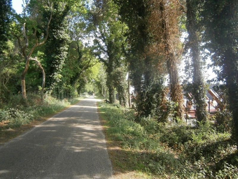 Twekkelerbeekweg vanaf Windmolenweg richting Geerdinkszijdeweg.JPG