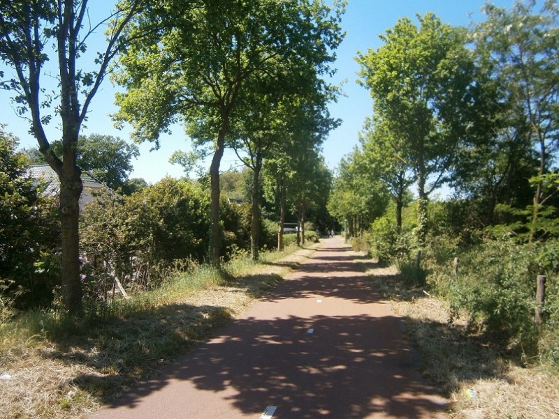 Usseleresweg vanaf Haaksbergerstraat.JPG