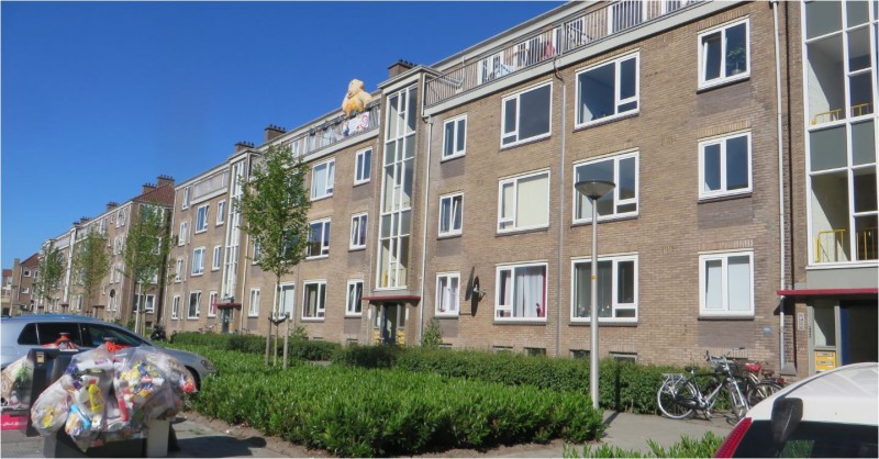 Maanstraat (4).JPG