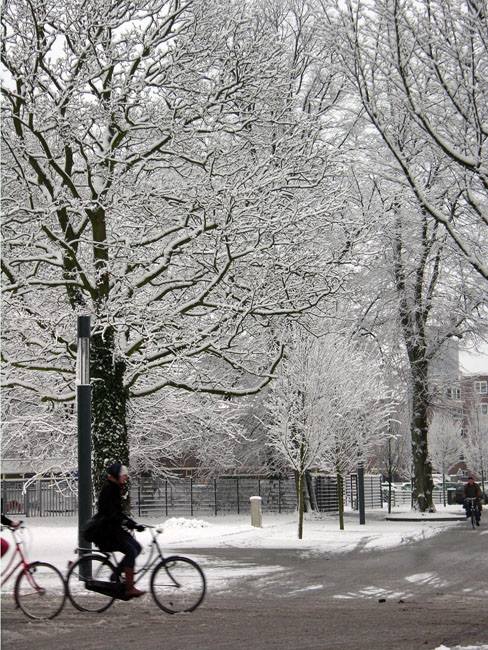 Gemeentewerfstraat sneeuw winter.jpg