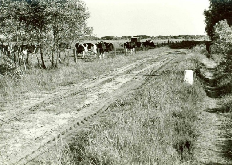 Usselerveldweg mei 1961 In de nabijheid van het latere Rutbeek.jpg