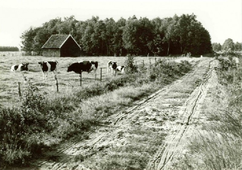 Usselerveldweg 1961.jpg