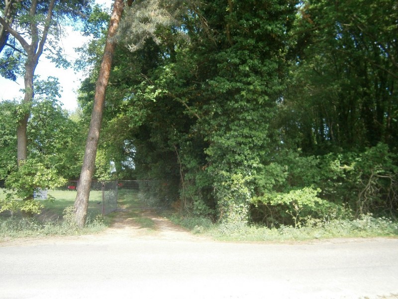 Marsstedenbeekweg vanaf Twekkelerbeekweg.JPG