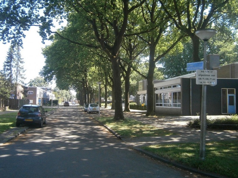 Adriaen van de Veldestraat hoek Cornelis Troostlaan.JPG