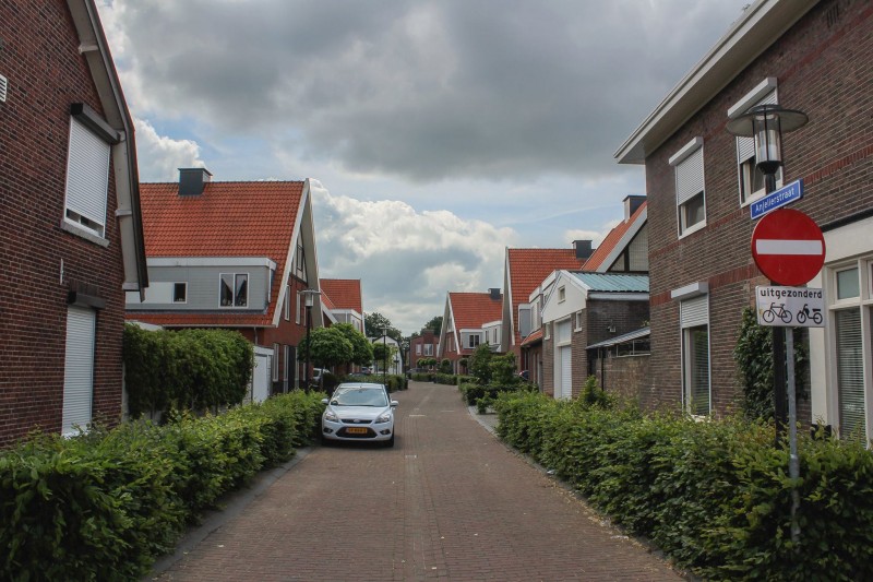 Anjelierstraat 2015.jpg