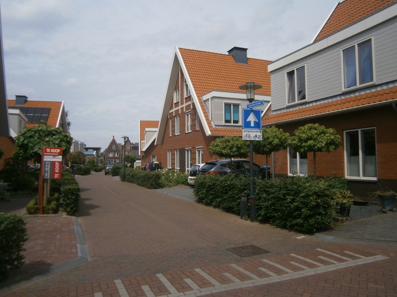 Anjelierstraat vanaf Laaresstraat.JPG