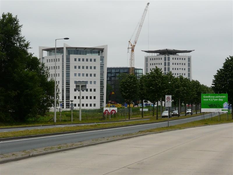 P1040467 (Medium).JPG