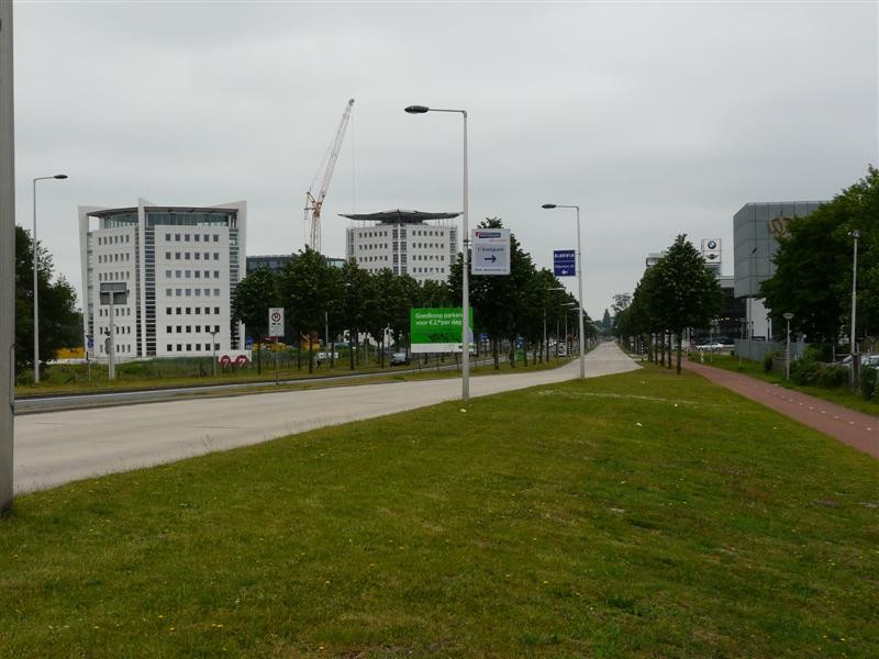 P1040468 (Medium).JPG