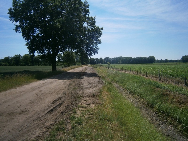 Usseler Markeweg vanaf Groot Bruninkstraat.JPG