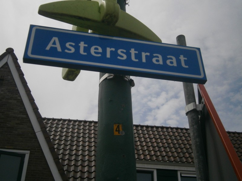 Asterstraat straatnaambord.JPG