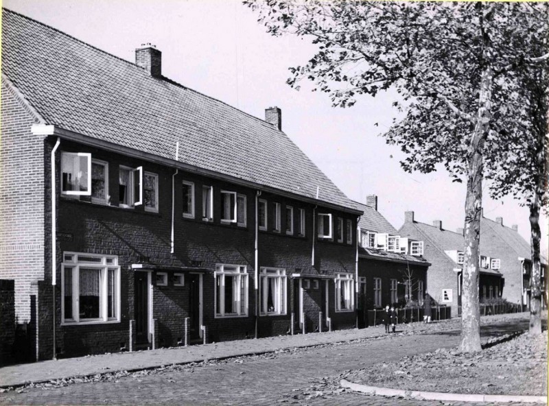 Laaressingel noordwestzijde tussen Ribbeltsweg en Papaverstraat 1950.jpg