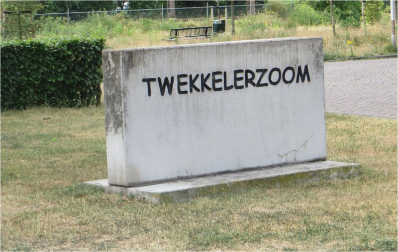 Twekkelerzoom, fietssnelweg met korenbloemen (1).JPG