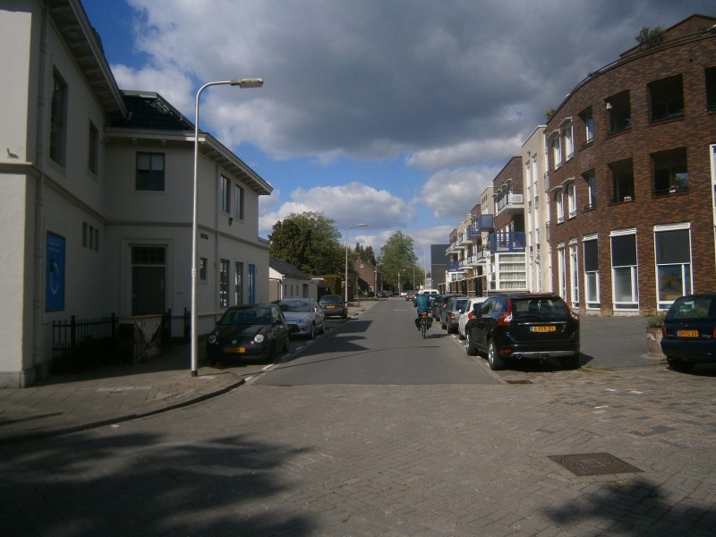 Minkmaatstraat vanaf Begoniastraat.JPG