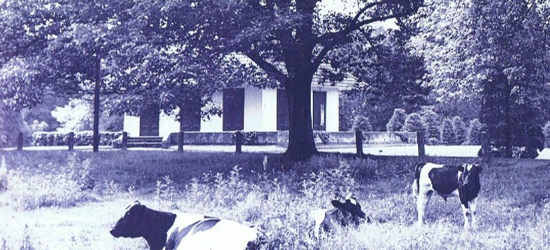 Zoekplaatje 28 mei 2011.jpg