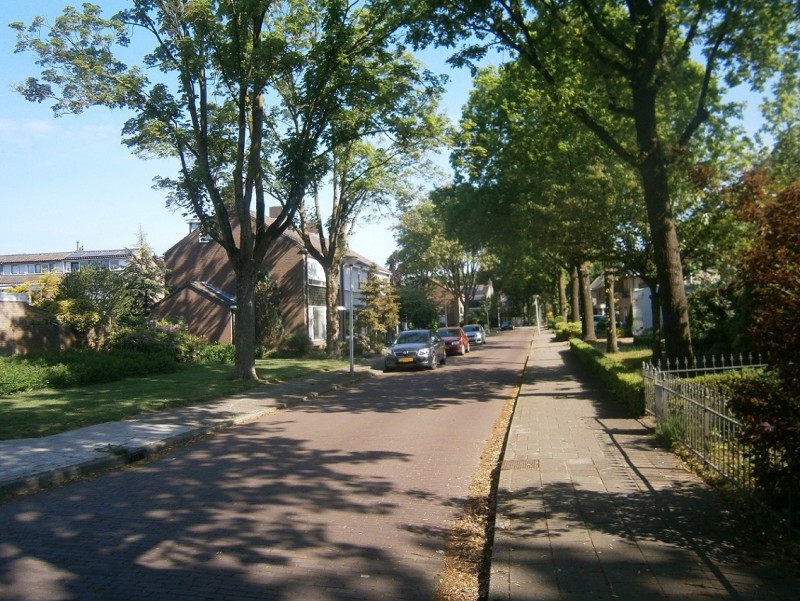 Pieter de Molijnstraat.JPG
