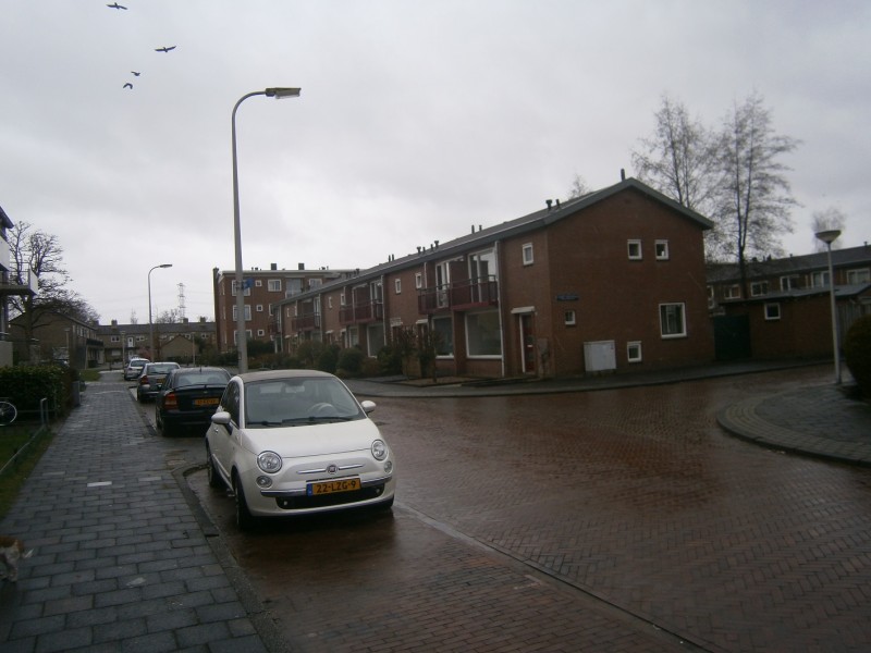 Carel Fabritiusstraat hoek Govert Flinckstraat 2-3-2017.JPG