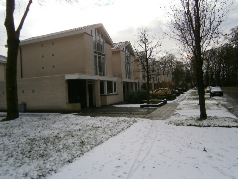 Ferdinand Bolstraat sneeuw 29-12-2014.JPG