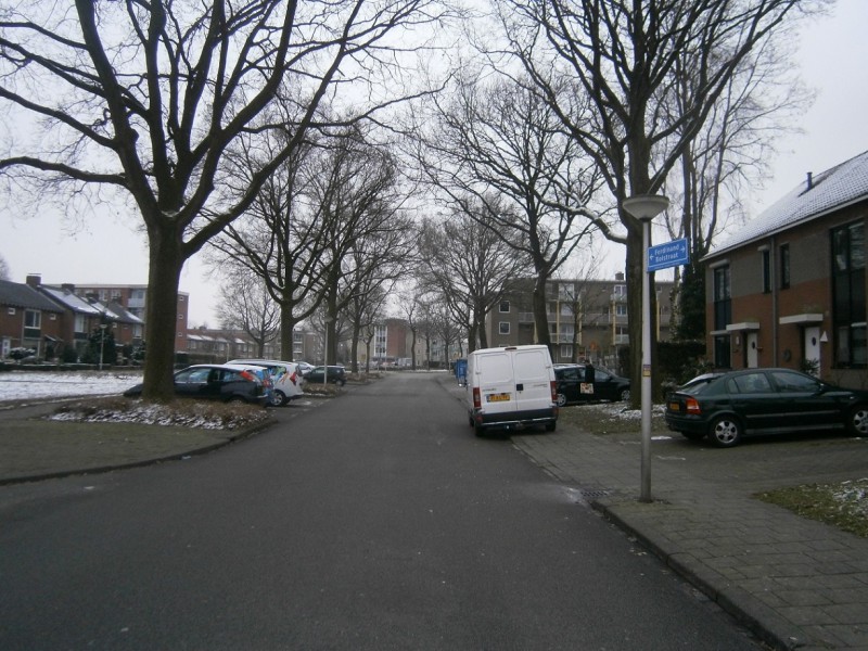 Ferdinand Bolstraat 9-2-2017.JPG