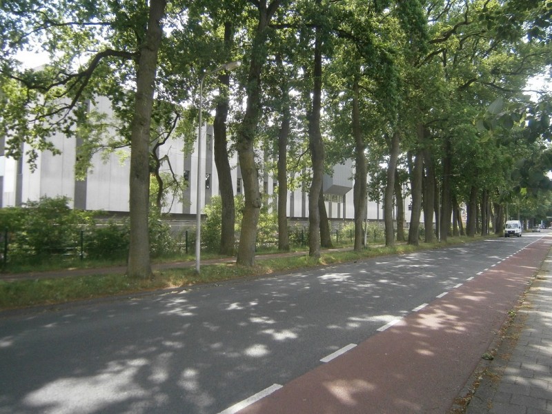 Oosterstraat richting Oldenzaalsestraat.JPG
