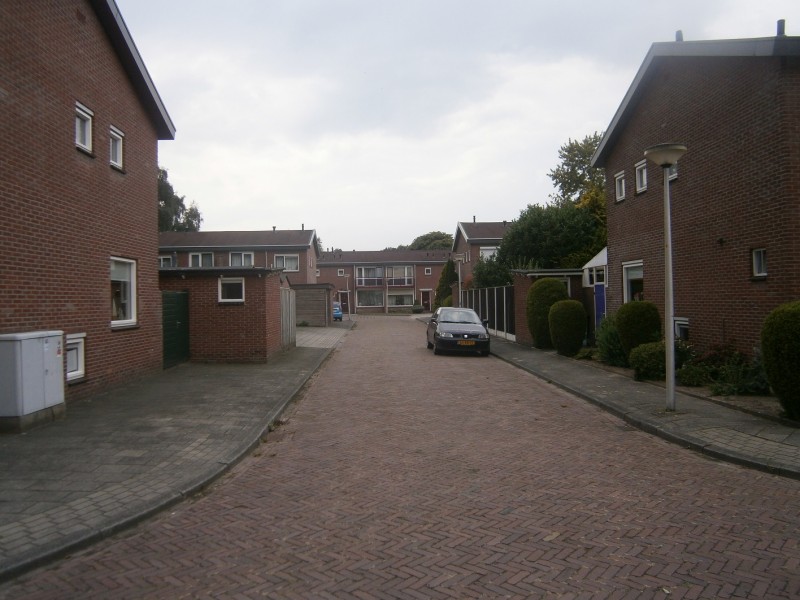 Govert Flinckstraat 3-8-2015 (2).JPG
