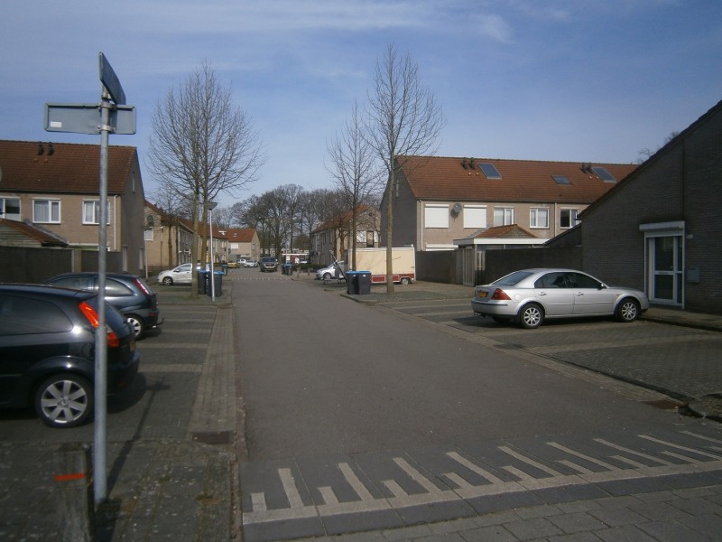 Jan Asselijnstraat vanaf Elferinksweg.JPG
