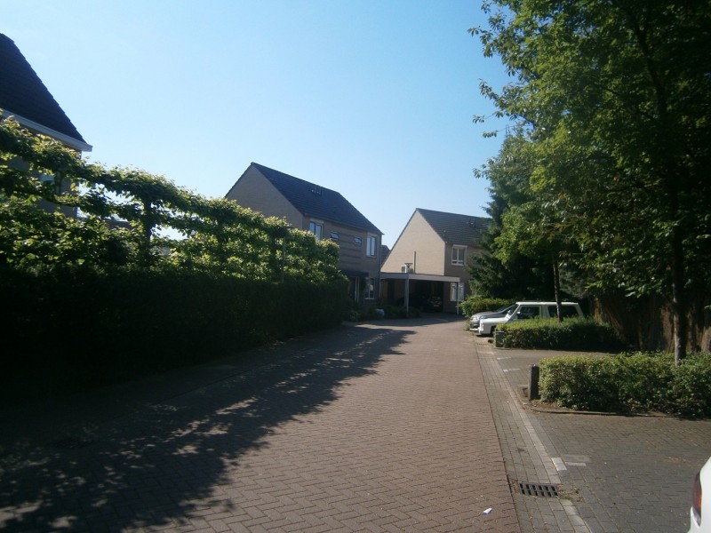 Julie de Graaglaan vanaf Thomas de Keyserstraat.JPG