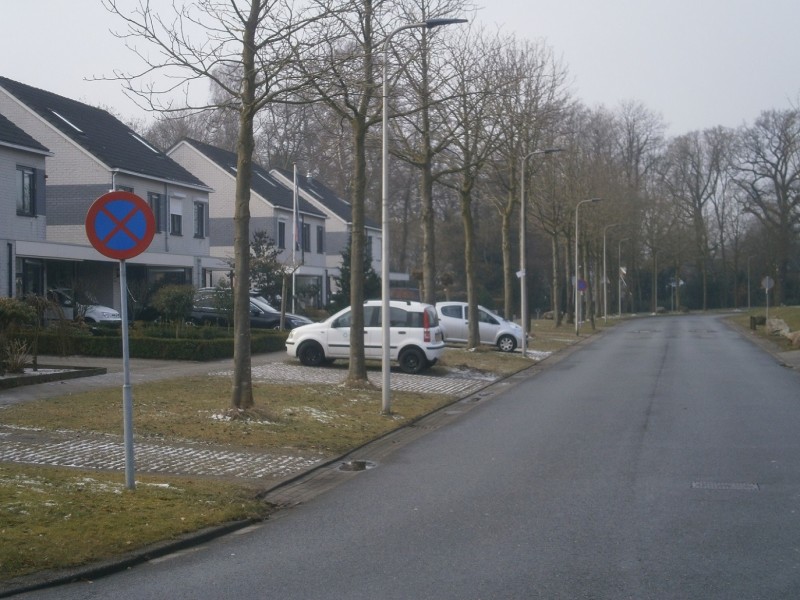 Marie de Roodelaan vanaf Ferdinand Bolstraat 12-2-2017.JPG