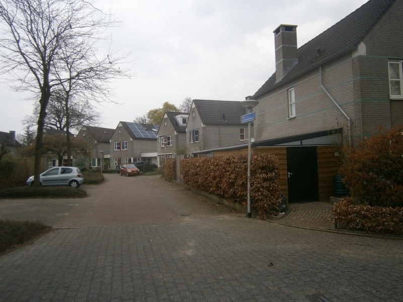 Theo van Doesburgstraat vanaf Vincent van Goghlaan.JPG